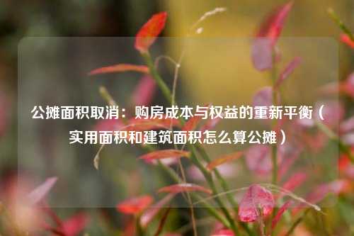 公摊面积取消：购房成本与权益的重新平衡（实用面积和建筑面积怎么算公摊）