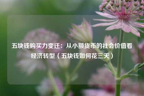 五块钱购买力变迁：从小额货币的社会价值看经济转型（五块钱如何花三天）