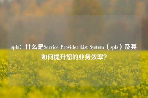 spls：什么是Service Provider List System（spls）及其如何提升您的业务效率？