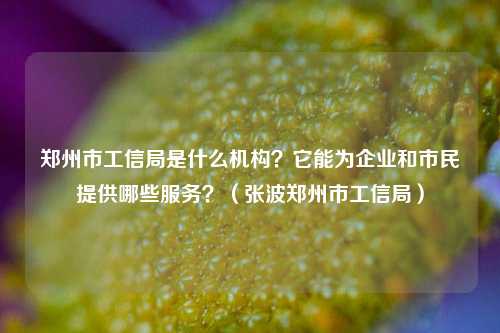 郑州市工信局是什么机构？它能为企业和市民提供哪些服务？（张波郑州市工信局）
