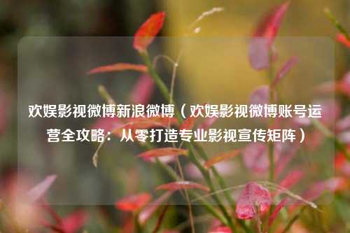 欢娱影视微博新浪微博（欢娱影视微博账号运营全攻略：从零打造专业影视宣传矩阵）