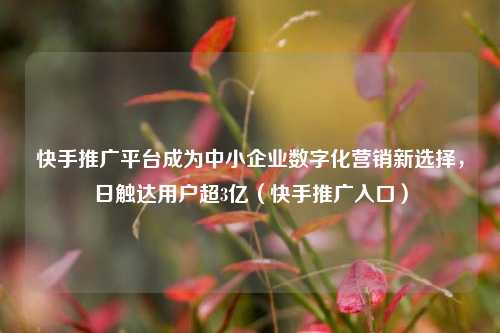 快手推广平台成为中小企业数字化营销新选择，日触达用户超3亿（快手推广入口）