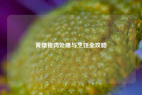 黄膘猪肉处理与烹饪全攻略
