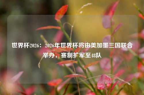 世界杯2026:2026年世界杯将由美加墨三国联合举办,赛制扩军至48队