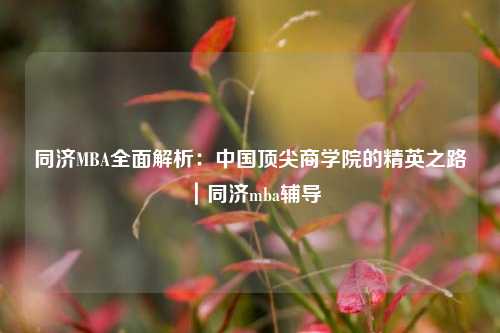 同济MBA全面解析：中国顶尖商学院的精英之路｜同济mba辅导