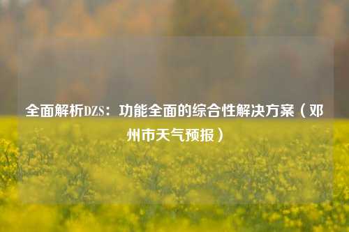 全面解析DZS:功能全面的综合性解决方案(邓州市天气预报)