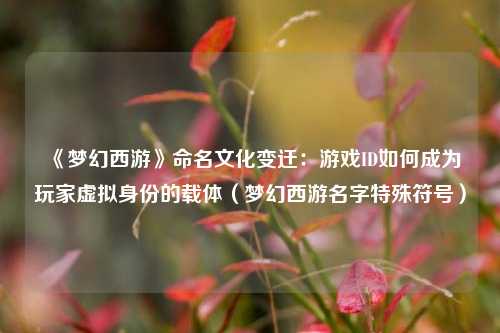 《梦幻西游》命名文化变迁:游戏ID如何成为玩家虚拟身份的载体(梦幻西游名字特殊符号)